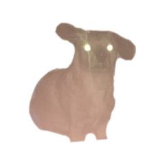 tenten_20260514190224