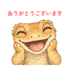tantan_20260514231616