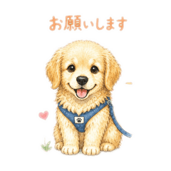 KMT_20260514234804
