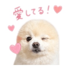 ponsuke_20260514230550