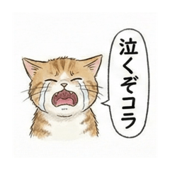 Yankee NEKO