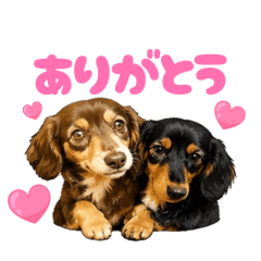 miki_20260514235327