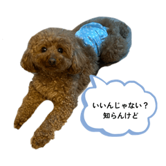 hik_20260514235220