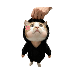 mokachan_
