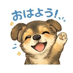 cha_20260515000338