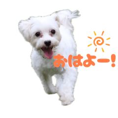 Azu_20260515000416