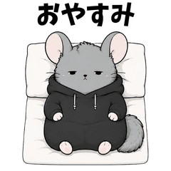 Lazy Chinchilla Daily Life