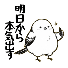 Chubby Enaga: Relatable Daily Life