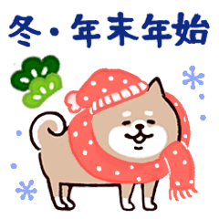 SHIBAINU-SAN Winter&New year!