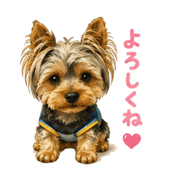 Mame the Yorkie: Cute Daily Stickers