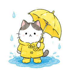 享受梅雨季節的貓咪