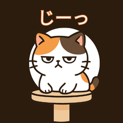 Same Face Cat