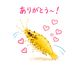 cute yellow shrimp Greetings