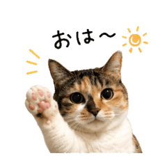 Mikeneko Vibes Stickers