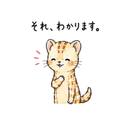 Cute Ferret Support Stickers