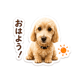 Mocha the Maltipoo: Daily Greetings