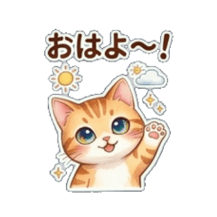 Cute Cat Daily!