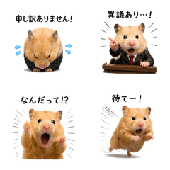 Reru-chan: Random Situations