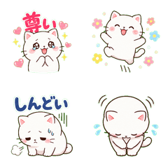 Cute White Cat Daily Reactions