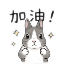 Moko小姐的世界