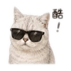 奶蓋文字版2.0