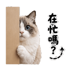 小太陽日常語錄2