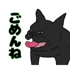 Hanme Frenchie