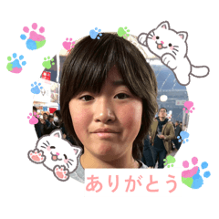 いぬいぬ三姉妹