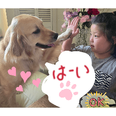 Fumie_20260515001052