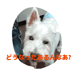 T-OGAWA_20260515002107