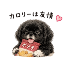 Coco.blanc_20260515002102