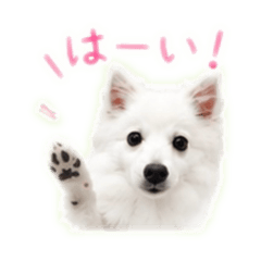 KUMA_20260515002524