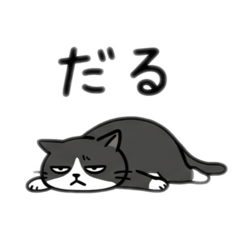 DARUNEKO_20260515000810