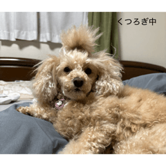 Japan_20260514194213