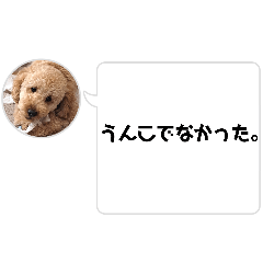 SUZU_20260515003403