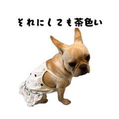 Donbyakusho_20260515003436