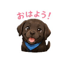 TOTO_20260515002559