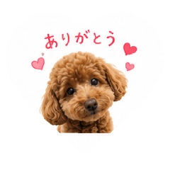 moriharu_20260515003605