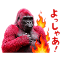 EKUBO_20260515003118