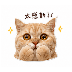柔柔大世界5