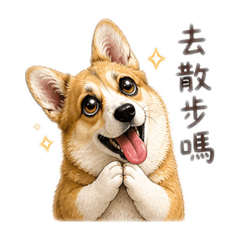 《柯基的日常問候》