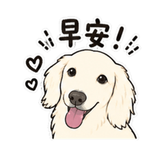 白臘腸Yuki