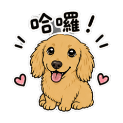 Q版臘腸大大