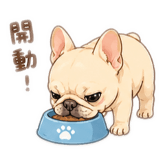 鬥鬥の日常