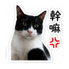 閃電天使