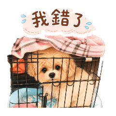 療癒萌犬