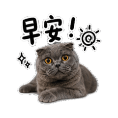 最愛的寶貝Polu