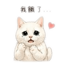 《黏黏貓：姐弟日常①》