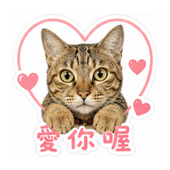 小花の工廠生活