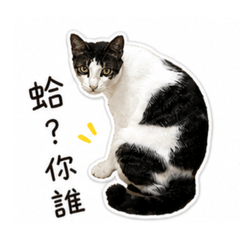 陳阿財.
